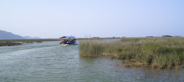 3. Tag Dalyan Delta